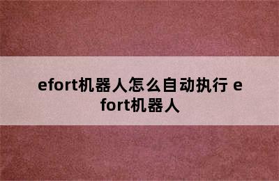 efort机器人怎么自动执行 efort机器人